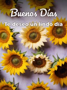 Frases bonitas para dar los buenos días para celular