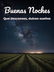 Frases bonitas para decir buenas noches