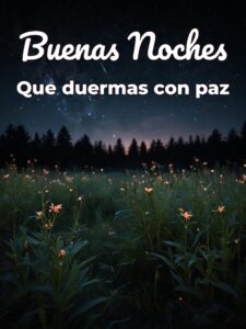 Frases bonitas para decir buenas noches para WhatsApp
