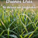 buenos días te deseo un lindo día