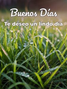 Frases bonitas para decir buenos días para WhatsApp