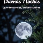 buenas noches que descanses, dulces sueños