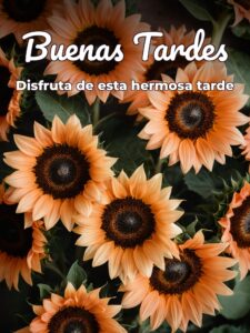 Frases bonitas para desear buenas tardes para Facebook y WhatsApp