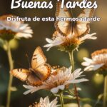 buenas tardes disfruta de esta hermosa tarde