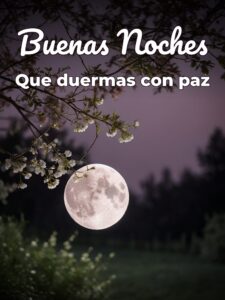 Frases bonitas para las buenas noches para Facebook
