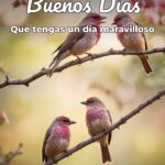 buenos días que tengas un día maravilloso
