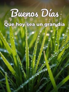 Frases bonitas para los buenos días para WhatsApp
