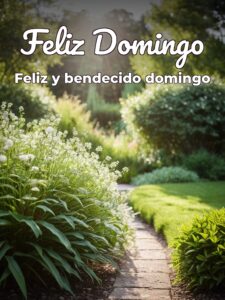 Frases buen domingo para celular
