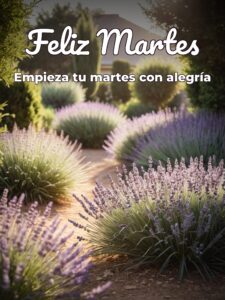 Frases buen martes para WhatsApp gratis para celular
