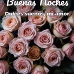 buenas noches dulces sueños, mi amor