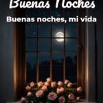 buenas noches buenas noches, mi vida