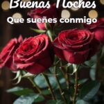 buenas noches que sueñes conmigo