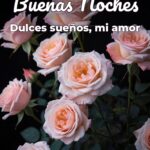 buenas noches dulces sueños, mi amor