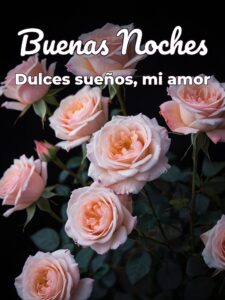 Frases buenas noches para mi novia para celular