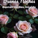 buenas noches buenas noches, mi vida
