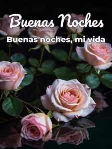 Frases buenas noches para mi novia para Facebook