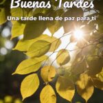 buenas tardes una tarde llena de paz para ti