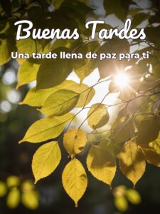 Frases buenas tardes amistad para Facebook y WhatsApp
