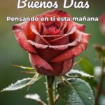 buenos días pensando en ti esta mañana