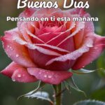 buenos días pensando en ti esta mañana