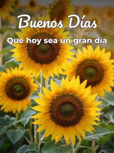 Frases buenos días para conquistar para Facebook