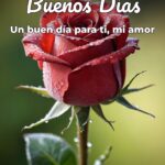 buenos días un buen día para ti, mi amor