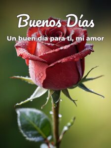 Frases buenos días para enamorar para una amiga
