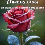 buenos días empieza tu día sabiendo que te amo