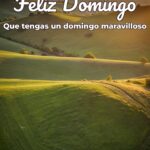 feliz domingo que tengas un domingo maravilloso