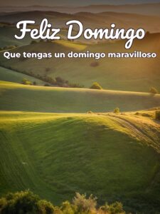 Frases con imágenes de feliz domingo para celular