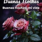buenas noches buenas noches, mi vida
