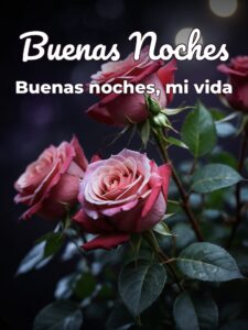 Frases cortas de buenas noches amor para Facebook