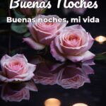 buenas noches buenas noches, mi vida