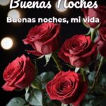 buenas noches buenas noches, mi vida