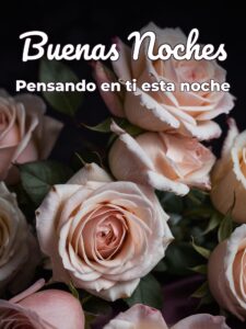 Frases cortas de buenas noches para enamorar para WhatsApp