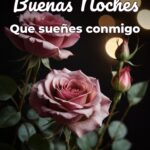 buenas noches que sueñes conmigo