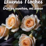 buenas noches dulces sueños, mi amor