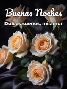 Frases cortas de buenas noches para mi novia para WhatsApp