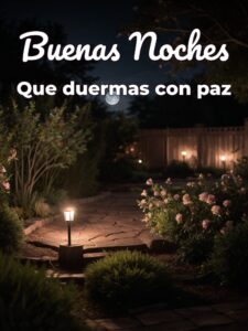 Frases cortas para desear buenas noches