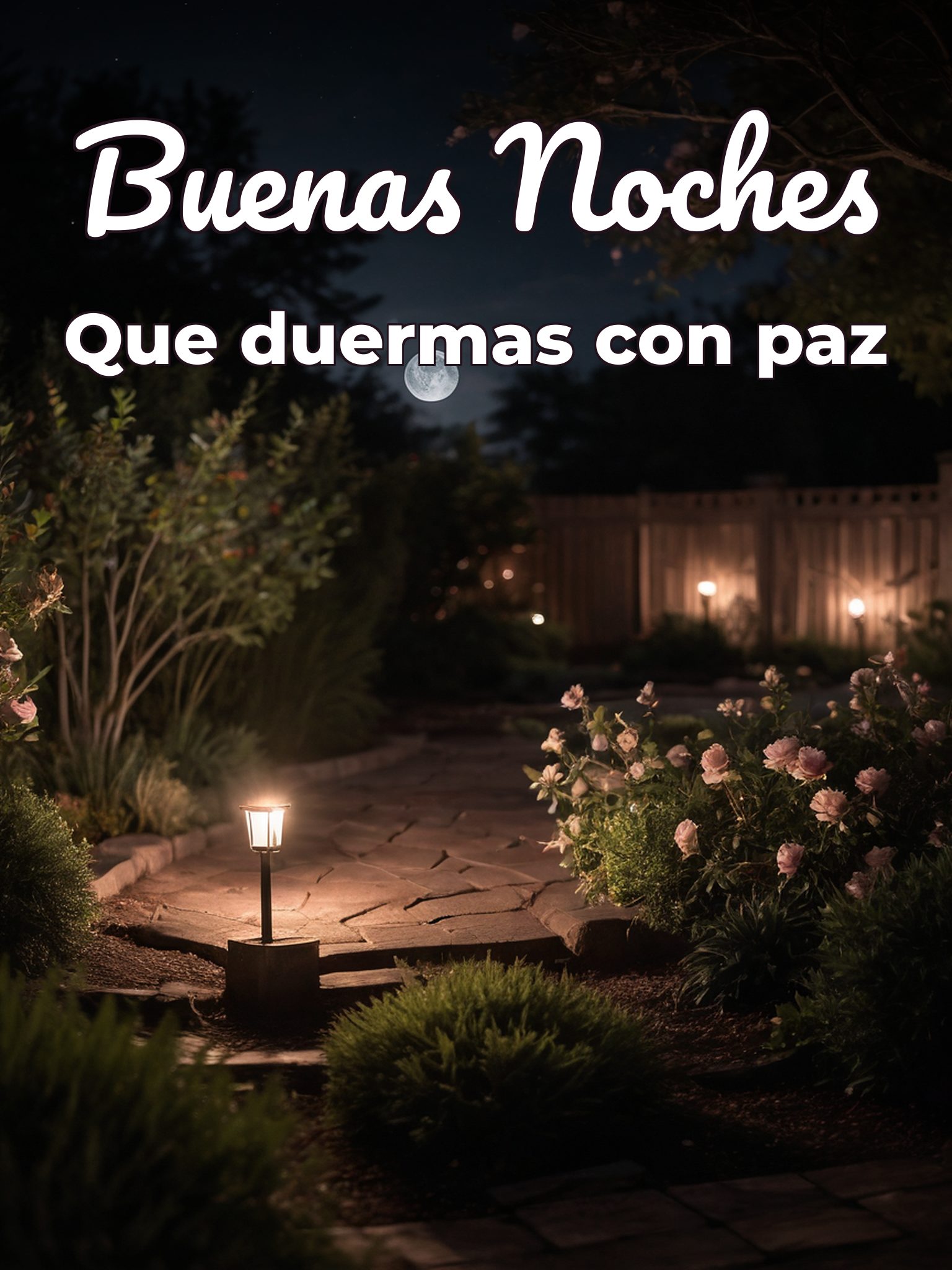 Frases cortas para desear buenas noches