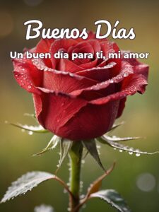 Frases d amor d buenos días para Facebook