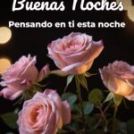 buenas noches pensando en ti esta noche