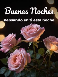 Frases d buenas noches d amor para Facebook