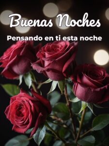 Frases d buenas noches d amor para WhatsApp