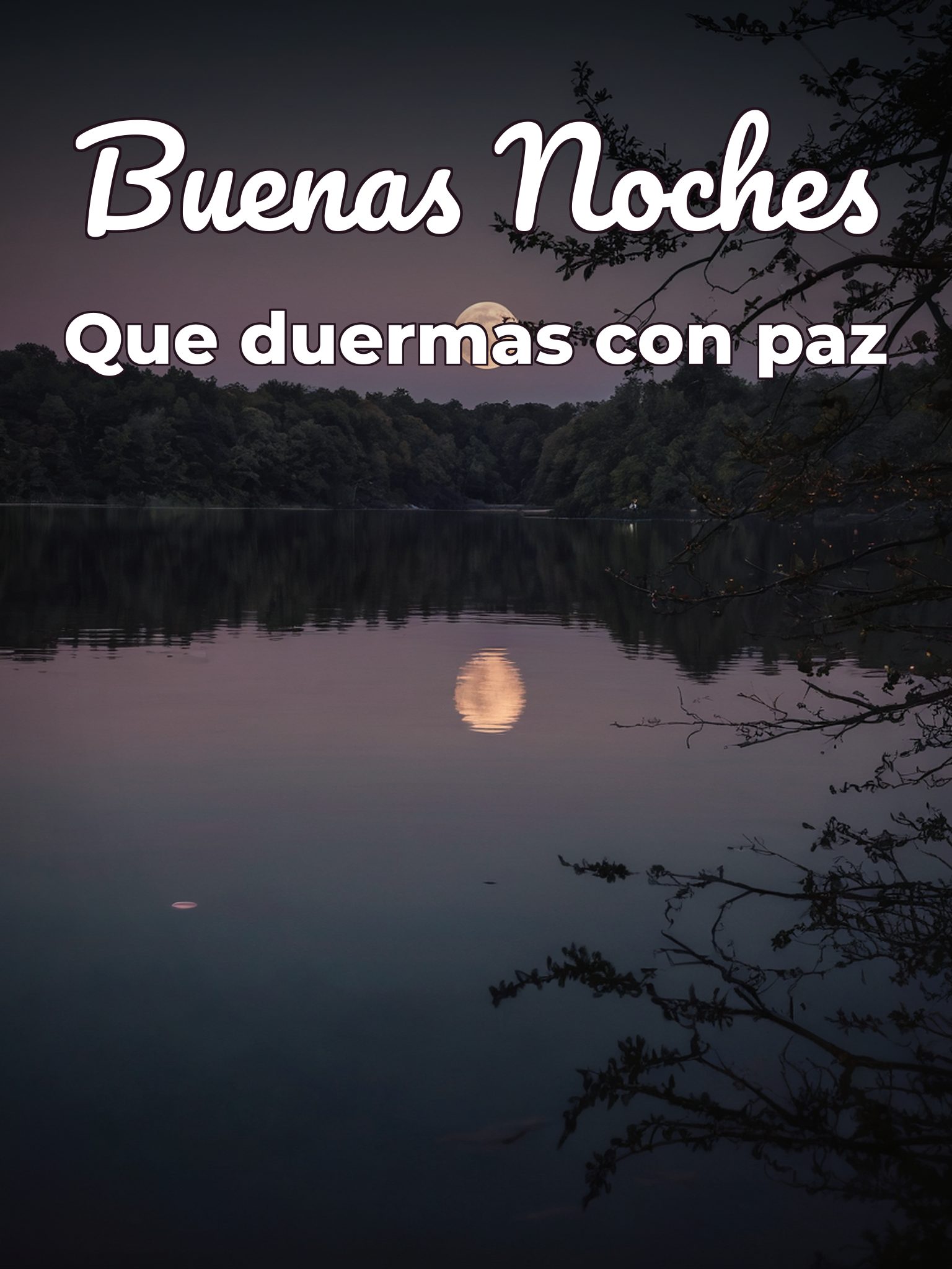 Frases d buenas noches para amigos para celular