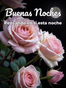 Frases d buenas noches para mi amor para Facebook