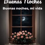 buenas noches buenas noches, mi vida