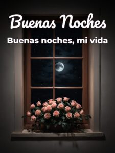 Frases d buenas noches para mi novio para Facebook