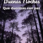 buenas noches que duermas con paz