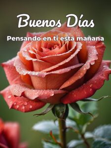 Frases d buenos días amor
